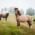 Casa de Férias Osada Jaćwingów