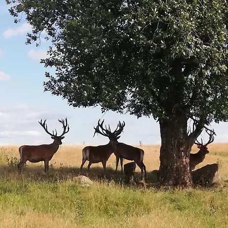 Osada Jacwingow Dom wakacyjny *