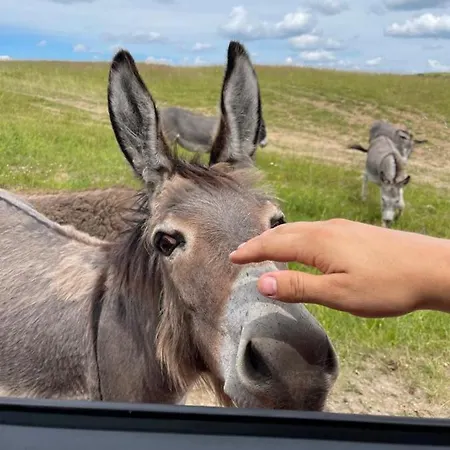 Osada Jacwingow Dom wakacyjny Gołdap