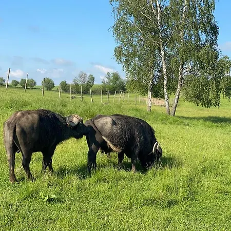 Osada Jacwingow * Gołdap