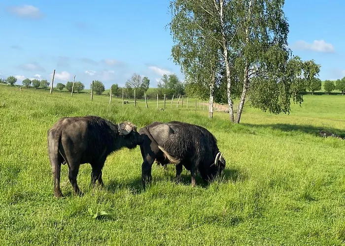 Osada Jacwingow * Gołdap